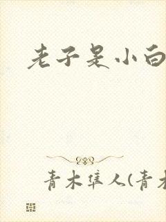 老子是小白脸