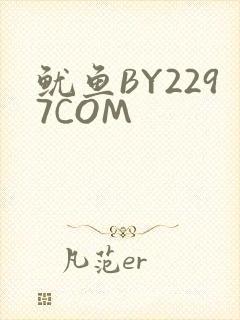 鱿鱼BY2297COM