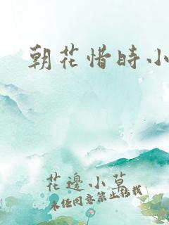 朝花惜时小说