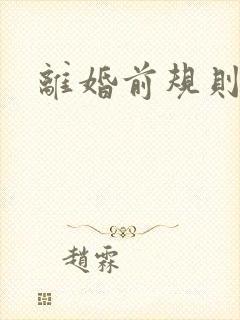离婚前规则小说