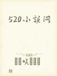 520小说网