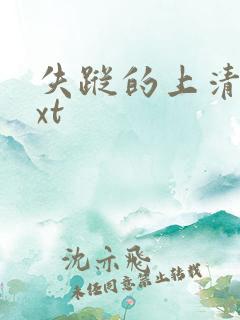 失踪的上清寺txt