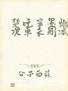 楚晚宁墨燃第一次车未删减