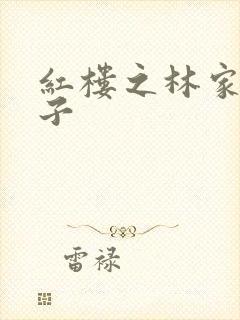 红楼之林家庶长子