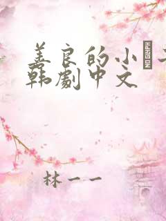 善良的小峓子2韩剧中文