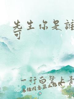 先生你是谁林亦可