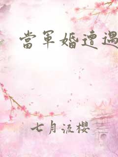 当军婚遭遇爱情