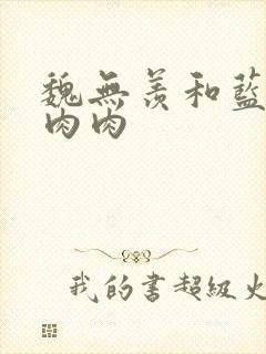 魏无羡和蓝忘机肉肉