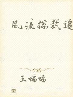 风流总裁追妻记