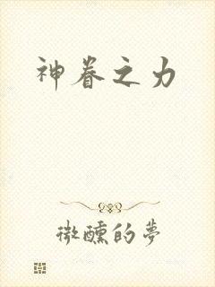 神眷之力