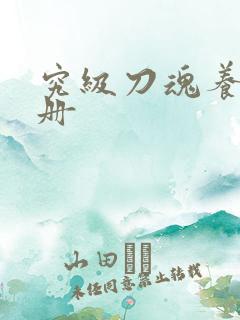 究级刀魂养成手册