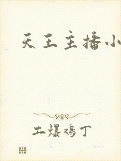 天王主播小说