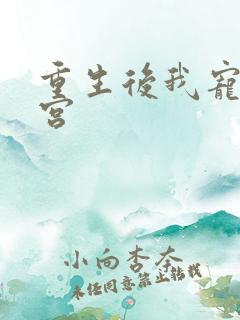 重生后我宠冠东宫