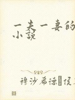 一夫一妻的玄幻小说