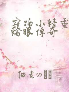宠物小精灵之写轮眼传奇
