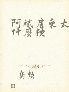 阿斌房东太太是什么梗