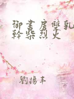 御书房双乳晃动干柴烈火