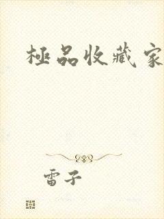 极品收藏家