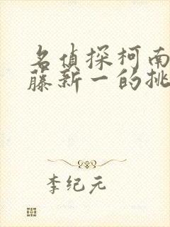 名侦探柯南给工藤新一的挑战书