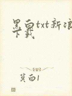 黑白txt新浪下载