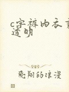 c字裤内衣秀全透明