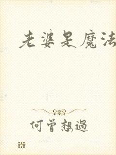 老婆是魔法少女