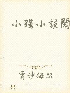 小强小说阅读网