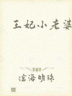 王妃小老婆