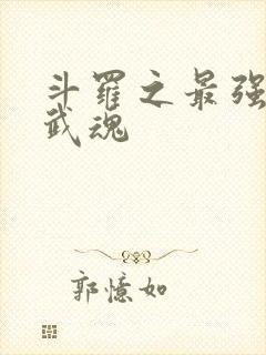 斗罗之最强治疗武魂