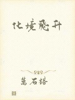 化境飞升