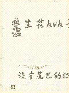 双生花hvh予温