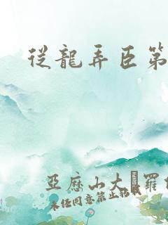 从龙弄臣第一次