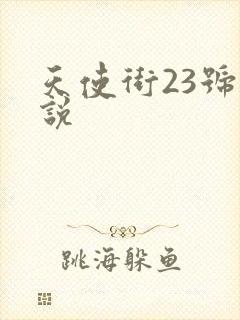 天使街23号小说