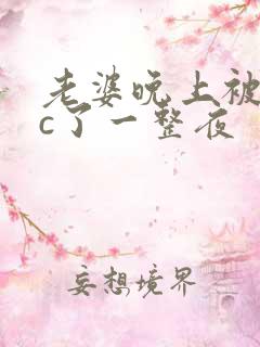 老婆晚上被躁狂c了一整夜