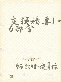 交换娇妻1一36部分