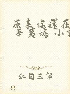 原来你还在这里 辛夷坞 小说