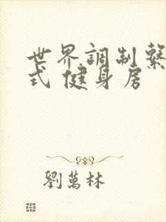 世界调制系统模式 健身房