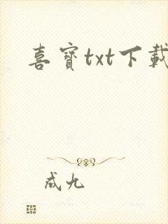 喜宝txt下载