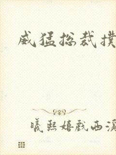 威猛总裁扑娇妻