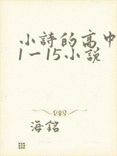 小诗的高中日记1一15小说