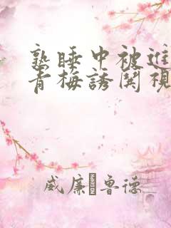 熟睡中被进了H青梅诱哄视频