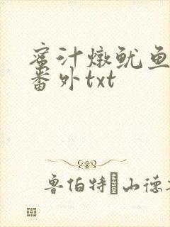 蜜汁炖鱿鱼全文番外txt