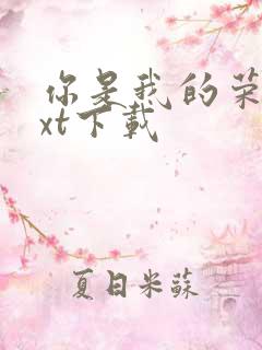 你是我的荣耀txt下载