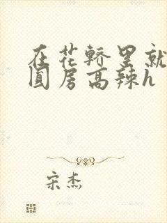 在花轿里就开始圆房高辣h