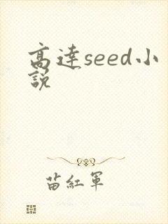 高达seed小说
