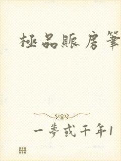 极品账房笔趣阁