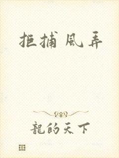 拒捕 风弄