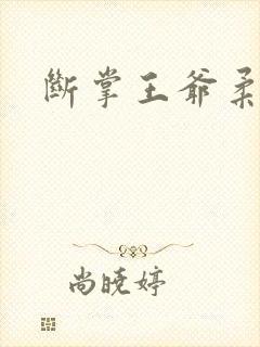 断掌王爷柔水妃