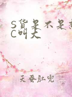 S货是不是想挨C叫大