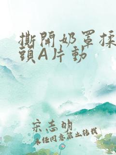 撕开奶罩揉吮奶头A片动